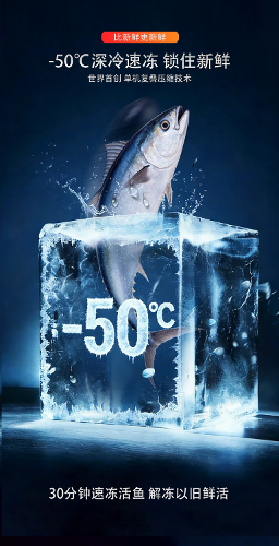 -50度AI变频冷库系统